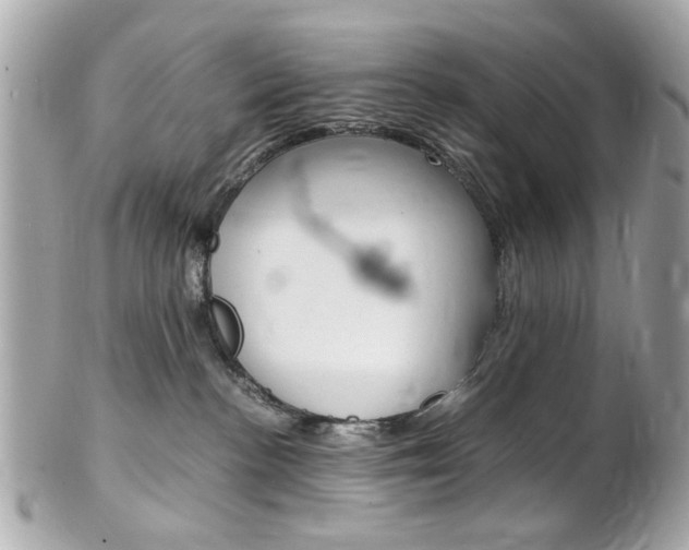 X0000102010188200807180919