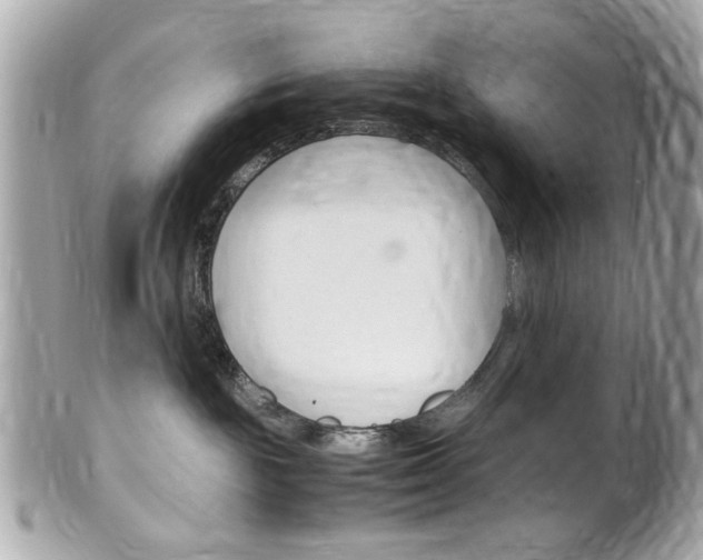 X0000102010189200807180919