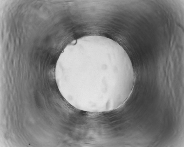 X0000102010190200807180919