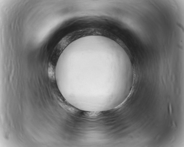 X0000102010191200807180919