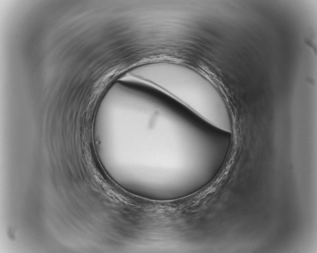 X0000102010193200807180919