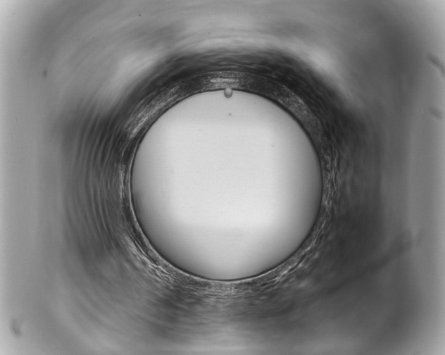X0000102010194200807180919