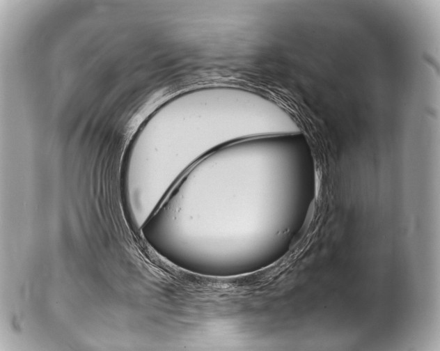 X0000102010195200807180919