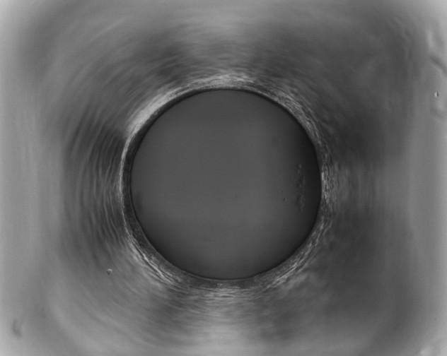 X0000102010196200807180919