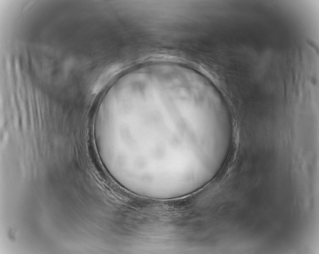 X0000102010199200807180919