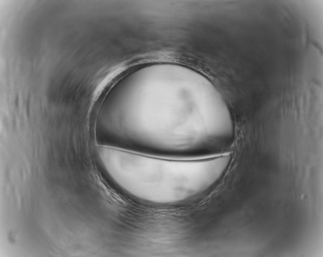X0000102010200200807180919