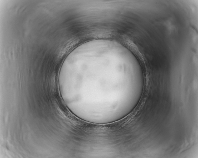 X0000102010202200807180918