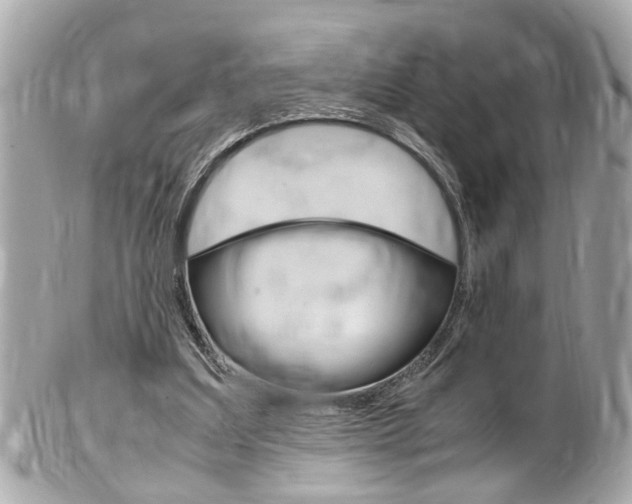 X0000102010203200807180918