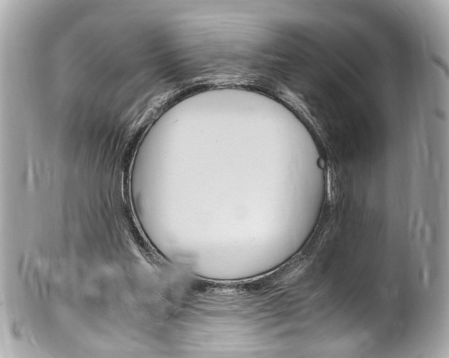 X0000102010205200807180918