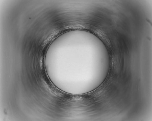 X0000102010206200807180918