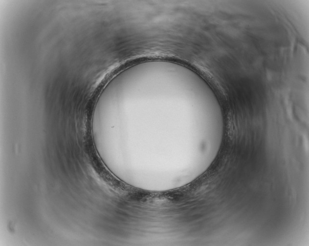 X0000102010208200807180918