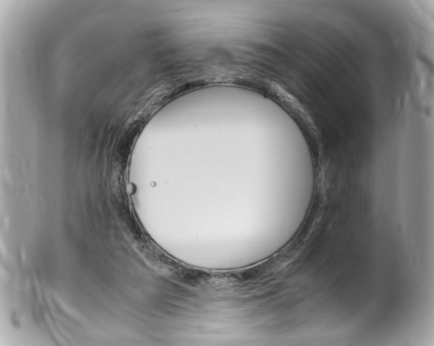 X0000102010209200807180918