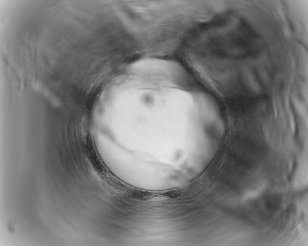 X0000102010210200807180918