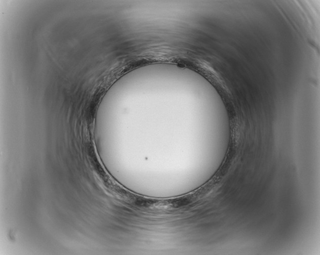X0000102010213200807180918