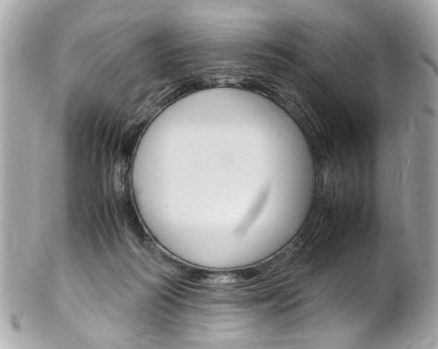 X0000102010218200807180918