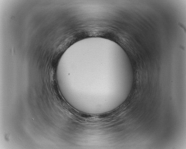 X0000102010219200807180918