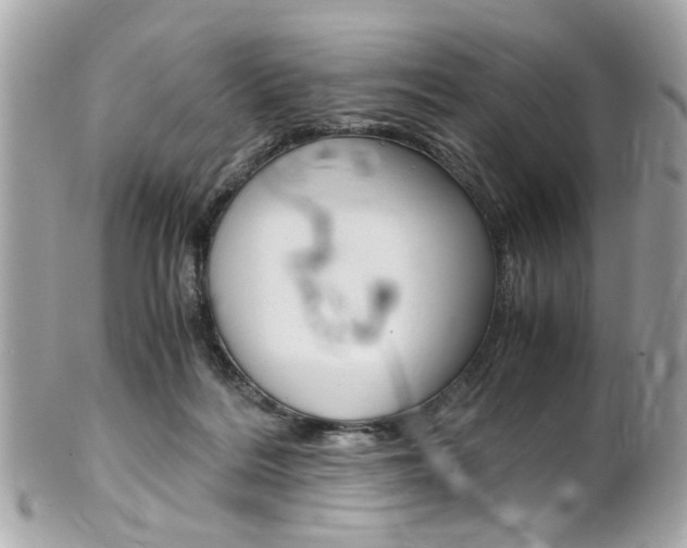 X0000102010220200807180918