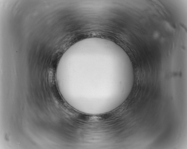 X0000102010222200807180918