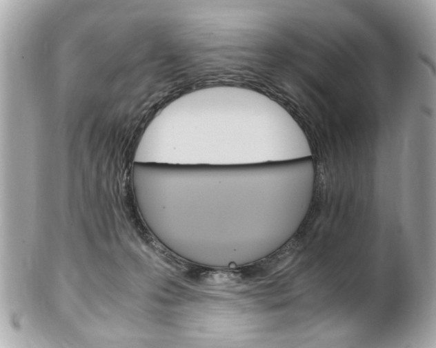 X0000102010223200807180918
