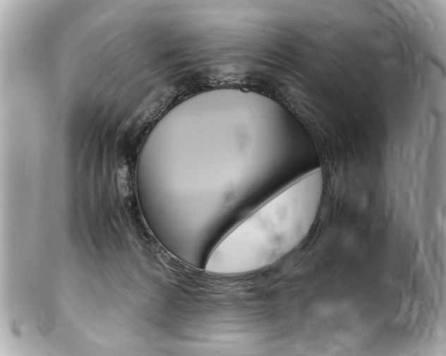 X0000102010224200807180918