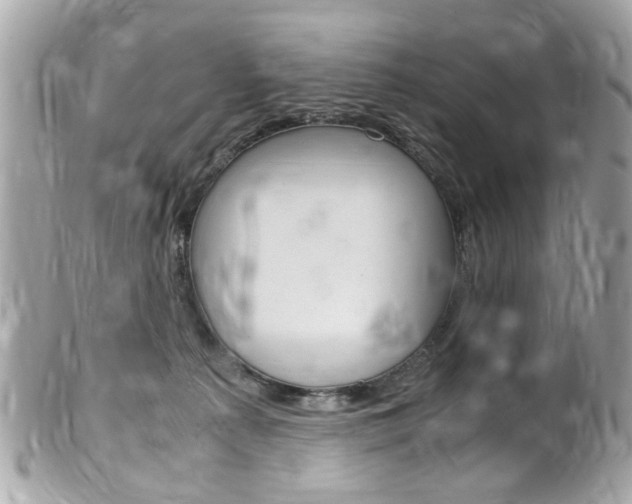 X0000102010225200807180918