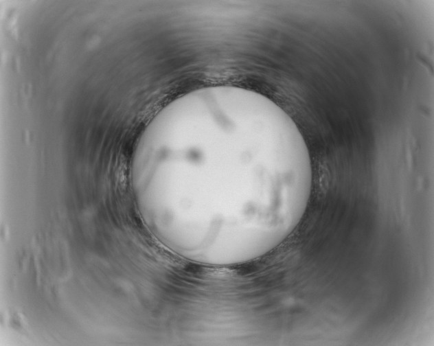 X0000102010226200807180918