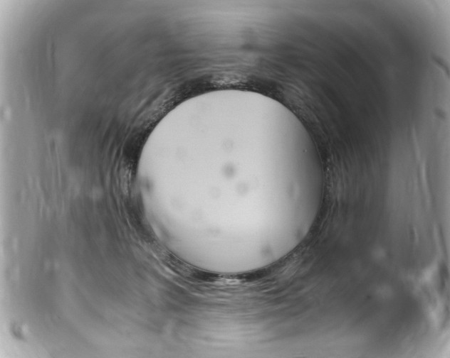 X0000102010227200807180918