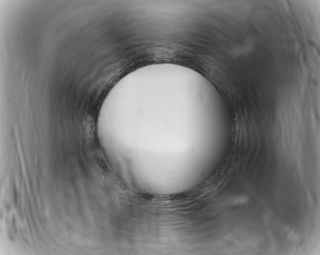 X0000102010228200807180918
