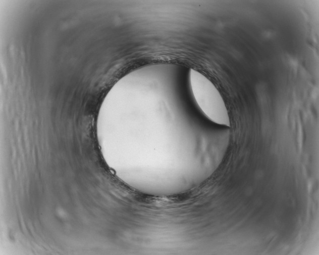 X0000102010229200807180918