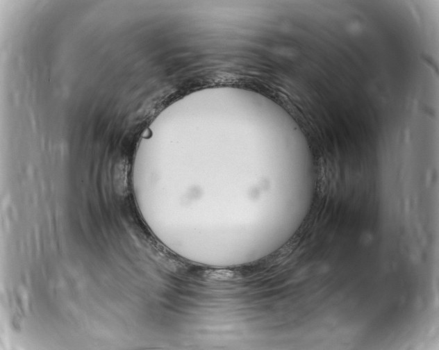 X0000102010230200807180918