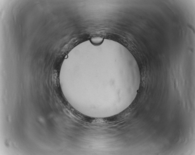 X0000102010231200807180918