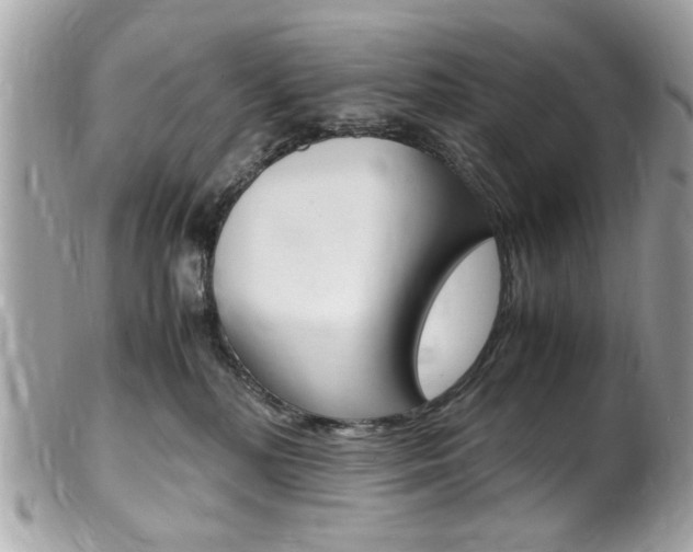 X0000102010232200807180918