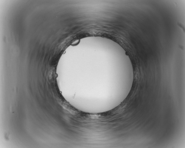 X0000102010233200807180918