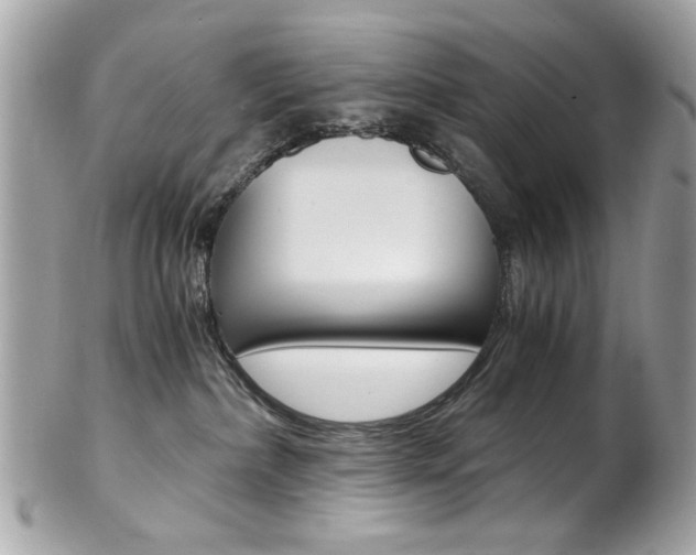 X0000102010236200807180918