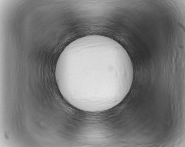 X0000102010237200807180918