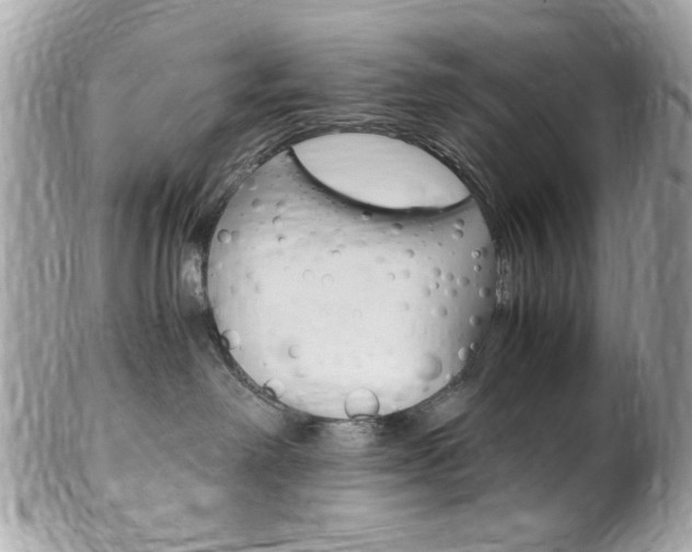 X0000102010238200807180918