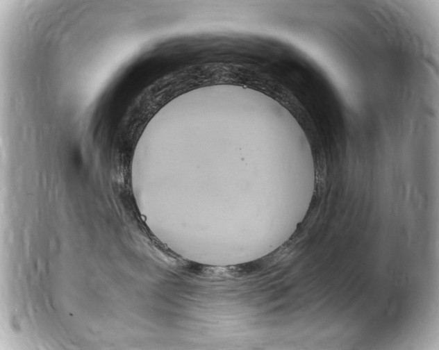 X0000102010239200807180918