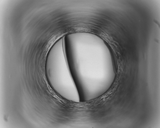 X0000102010241200807180917