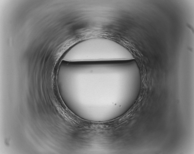 X0000102010242200807180917