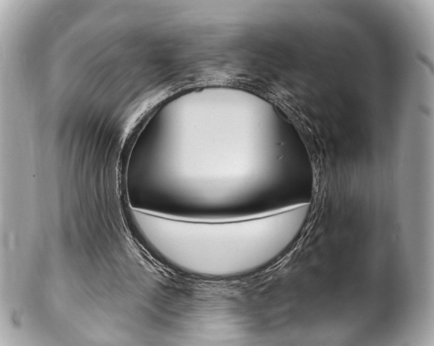 X0000102010244200807180917