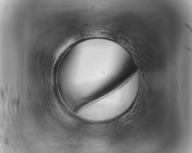 X0000102010248200807180917