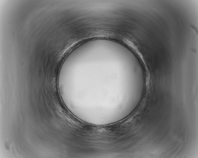 X0000102010249200807180917