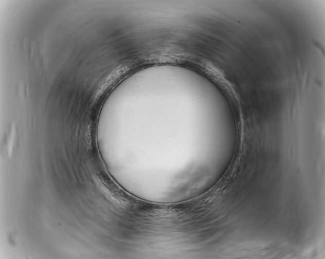 X0000102010250200807180917