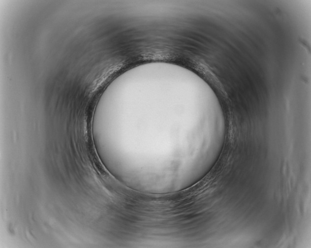 X0000102010251200807180917