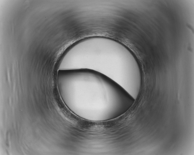 X0000102010252200807180917