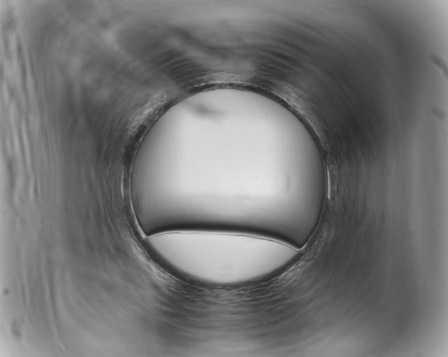 X0000102010253200807180917