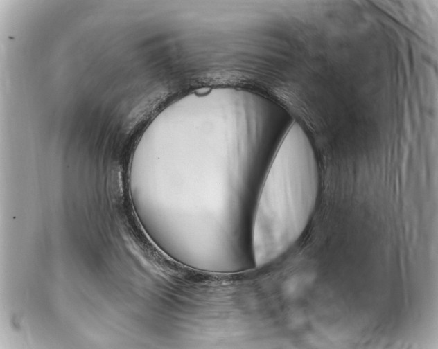 X0000102010254200807180917