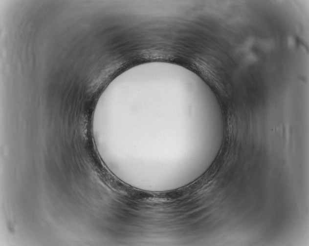 X0000102010255200807180917