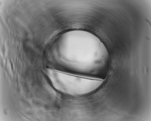 X0000102010256200807180917