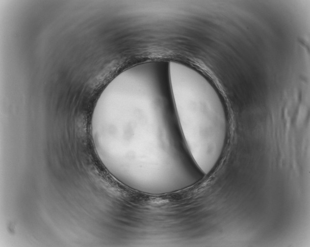 X0000102010257200807180917